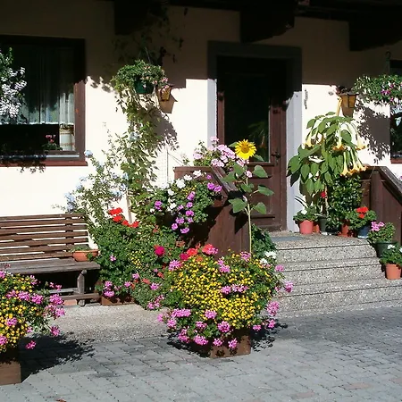 Haus Erna Раурис