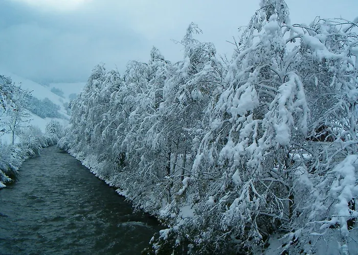 Πανσιόν Haus Erna 4*
