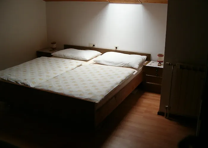 Πανσιόν Haus Erna 4*