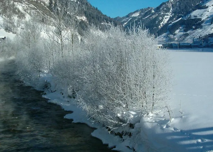 Πανσιόν Haus Erna 4*